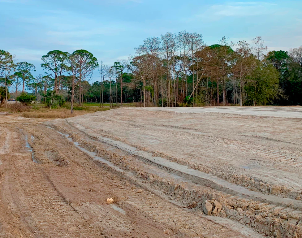 land clearing service